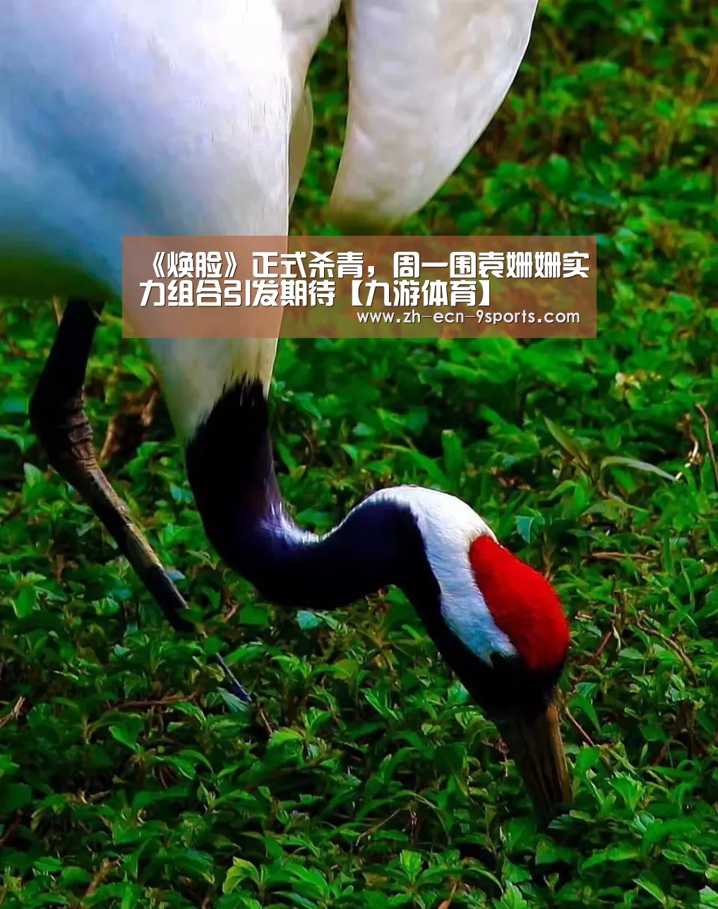 《焕脸》正式杀青,周一围袁姗姗实力组合引发期待【九游体育】(图3) 九游体育