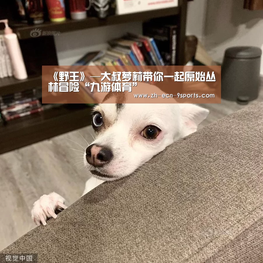 《野王》—大叔萝莉带你一起原始丛林冒险“九游体育”(图1) 九游体育