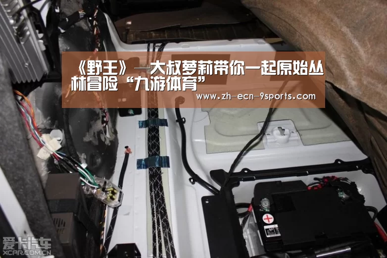 《野王》—大叔萝莉带你一起原始丛林冒险“九游体育”(图3) 九游体育