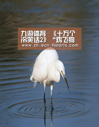 九游体育-《十万个冷笑话2》“鸡飞狗跳”派对高能来袭 人物海报强势登场(图2) 九游体育
